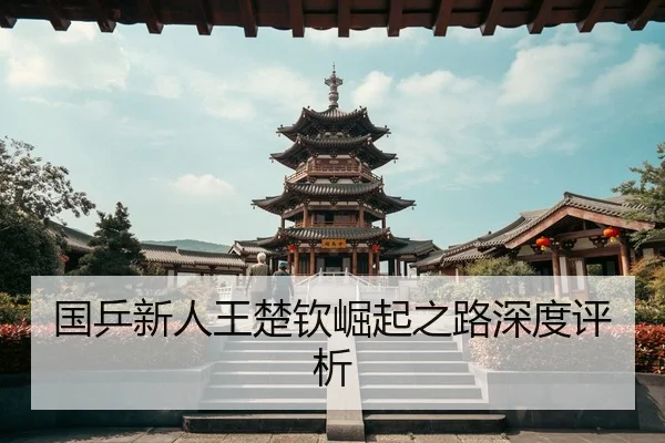 国乒新人王楚钦崛起之路深度评析