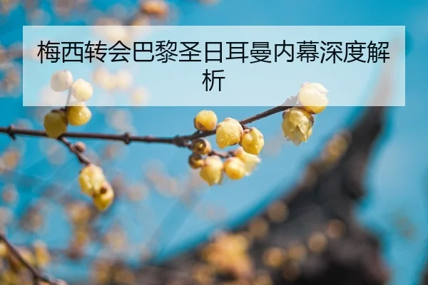 mei-xi-zhuan-hui-ba-li-sheng-ri-er-man-nei-mu-shen-du-jie-xi-2-551.jpg